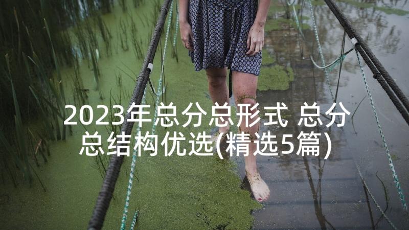 2023年总分总形式 总分总结构优选(精选5篇)