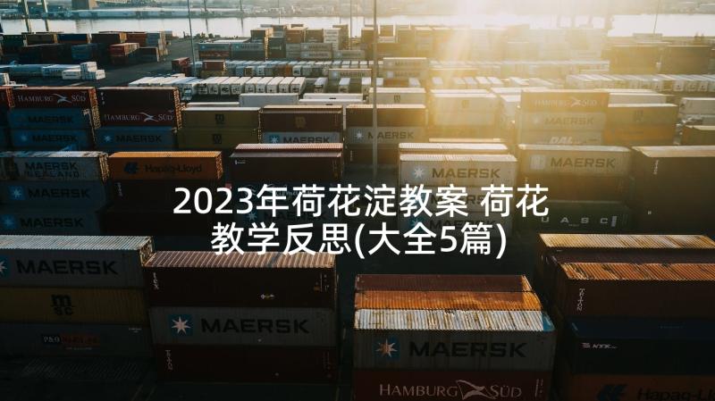 2023年荷花淀教案 荷花教学反思(大全5篇)