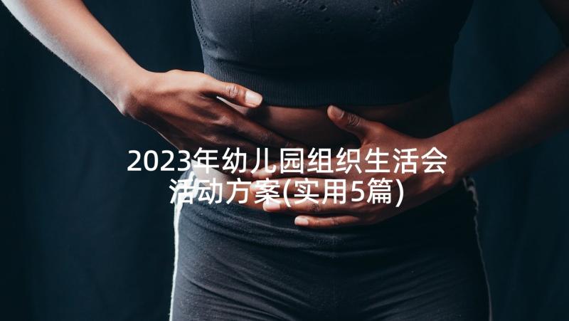 2023年幼儿园组织生活会活动方案(实用5篇)