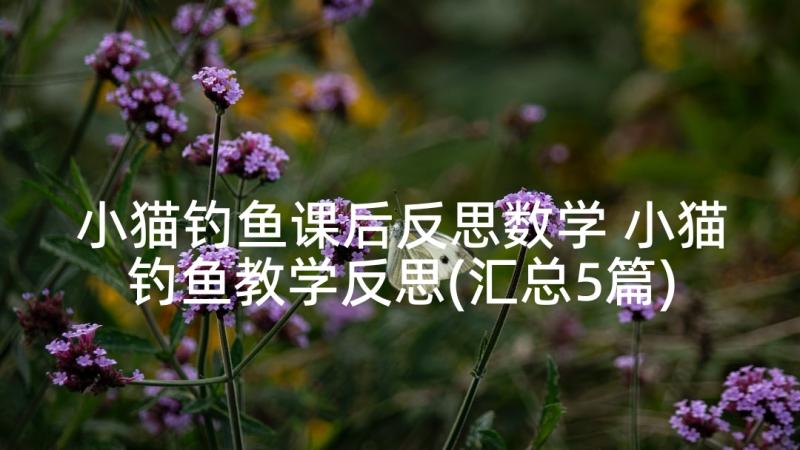 小猫钓鱼课后反思数学 小猫钓鱼教学反思(汇总5篇)