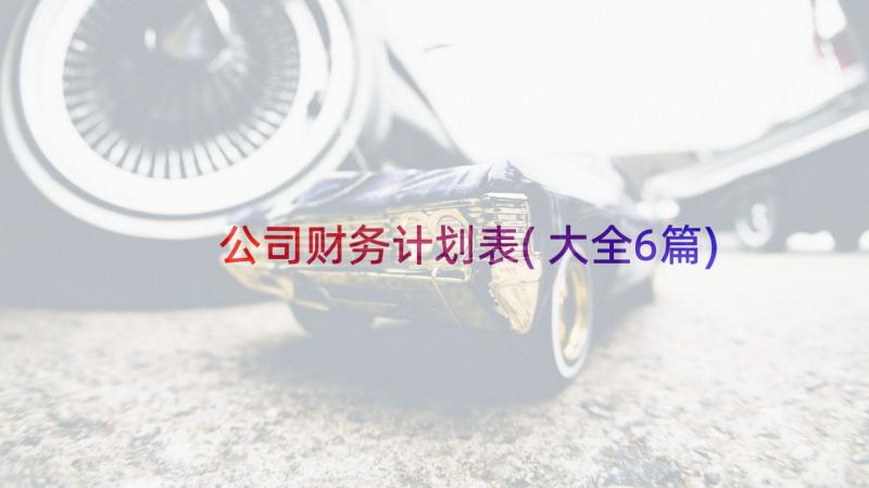 公司财务计划表(大全6篇)