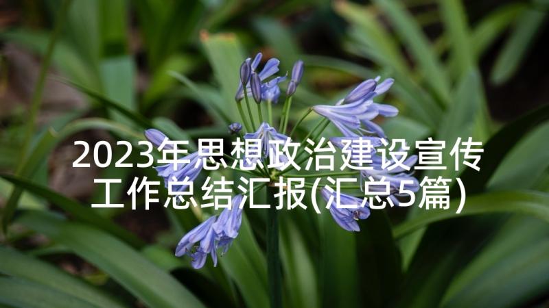 2023年思想政治建设宣传工作总结汇报(汇总5篇)