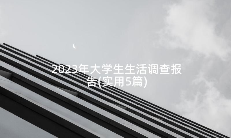 2023年大学生生活调查报告(实用5篇)