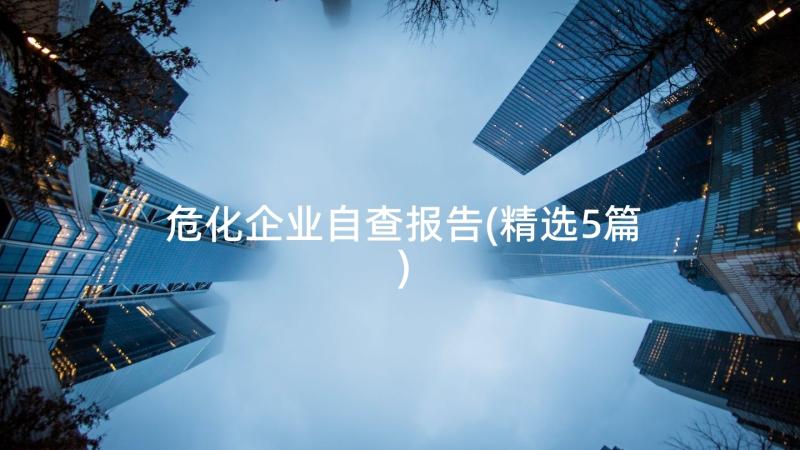 危化企业自查报告(精选5篇)