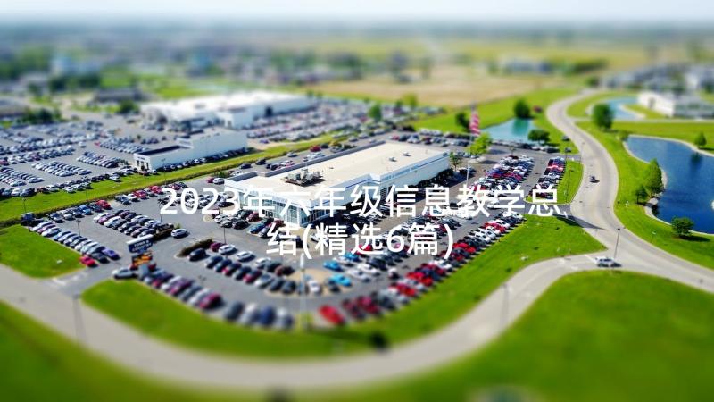 2023年六年级信息教学总结(精选6篇)