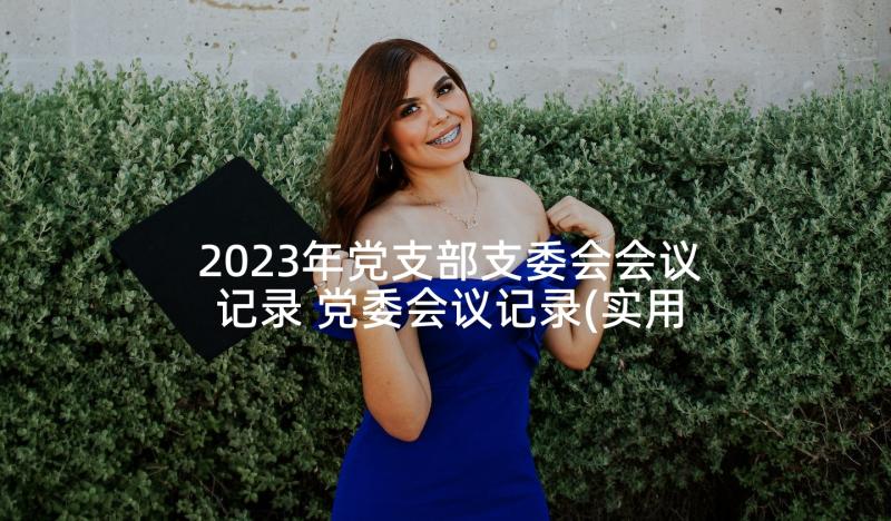 2023年党支部支委会会议记录 党委会议记录(实用5篇)