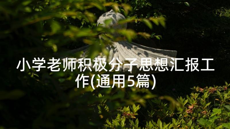 小学老师积极分子思想汇报工作(通用5篇)