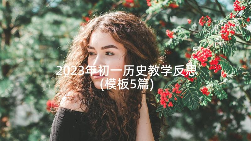 2023年初一历史教学反思(模板5篇)