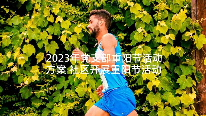 2023年党支部重阳节活动方案 社区开展重阳节活动方案(优秀6篇)