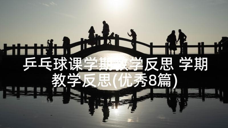 乒乓球课学期教学反思 学期教学反思(优秀8篇)