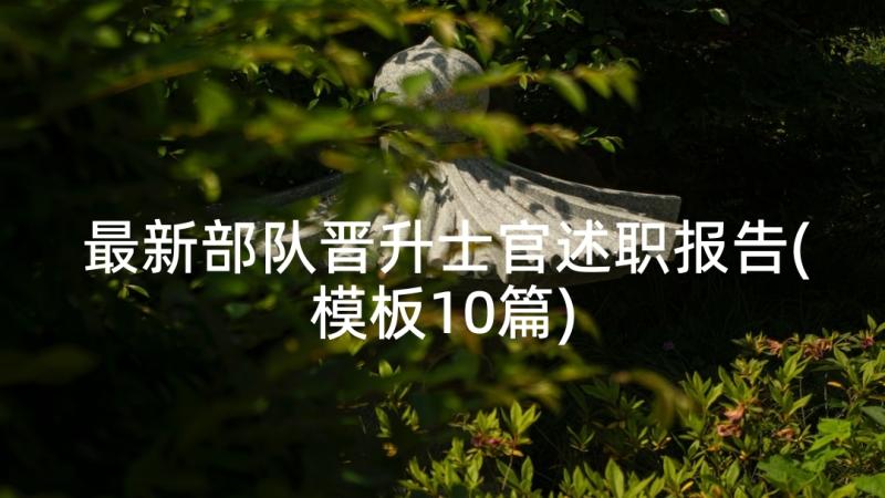 最新部队晋升士官述职报告(模板10篇)