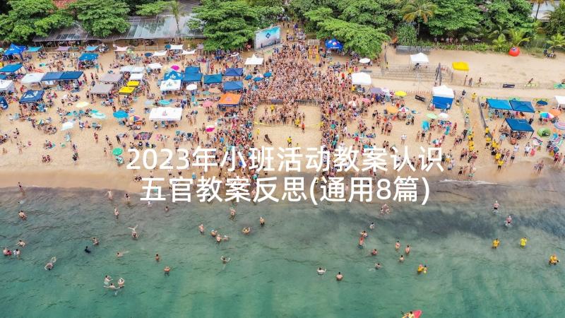 2023年小班活动教案认识五官教案反思(通用8篇)