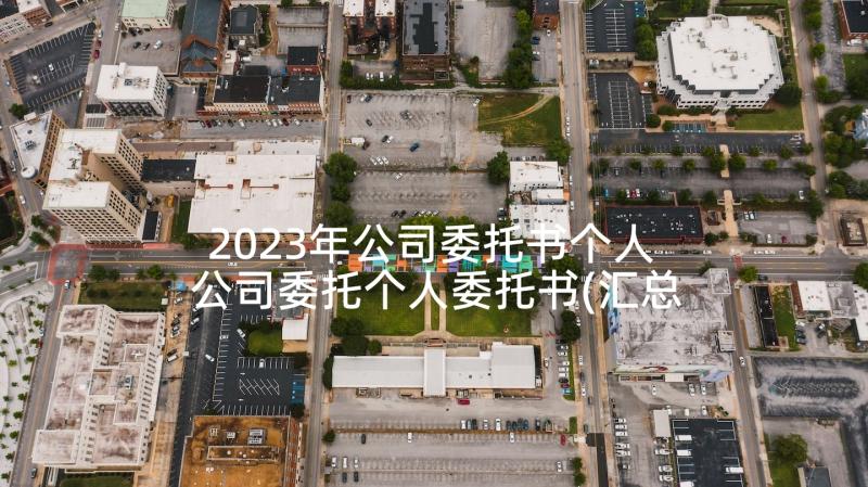 2023年公司委托书个人 公司委托个人委托书(汇总5篇)