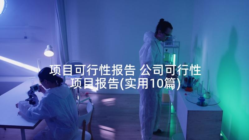 项目可行性报告 公司可行性项目报告(实用10篇)