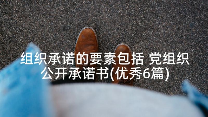 组织承诺的要素包括 党组织公开承诺书(优秀6篇)