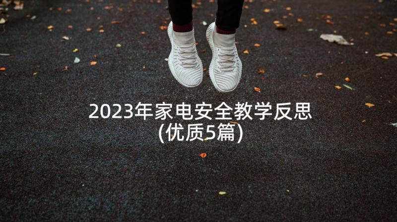 2023年家电安全教学反思(优质5篇)