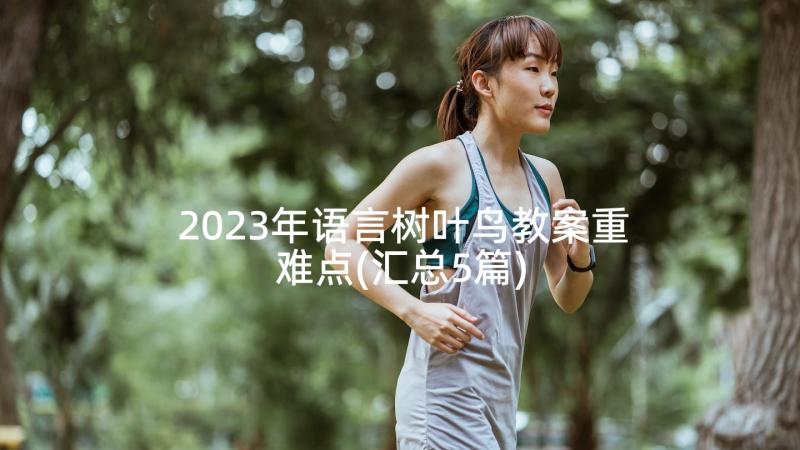 2023年语言树叶鸟教案重难点(汇总5篇)