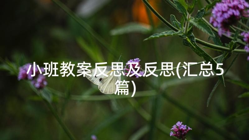 小班教案反思及反思(汇总5篇)