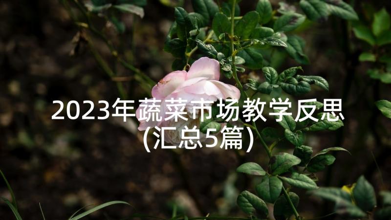 2023年蔬菜市场教学反思(汇总5篇)