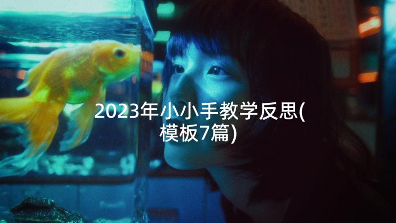 2023年小小手教学反思(模板7篇)