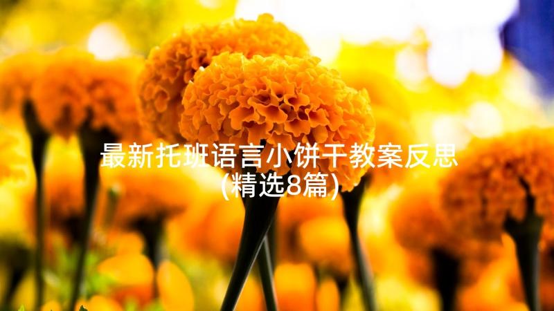 最新托班语言小饼干教案反思(精选8篇)