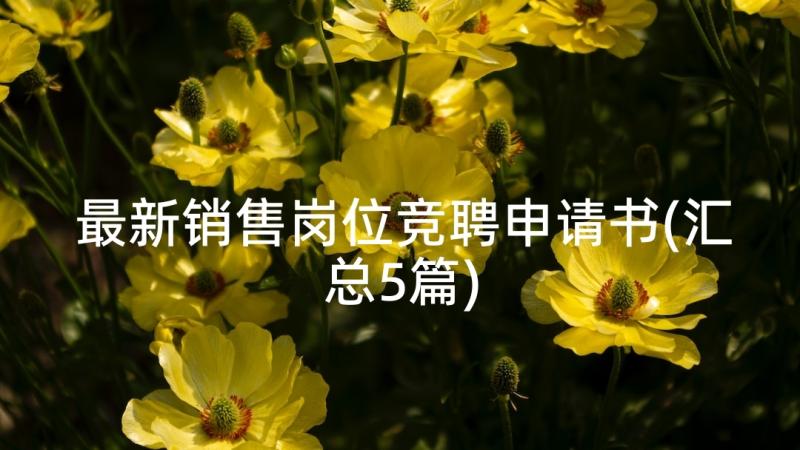 最新销售岗位竞聘申请书(汇总5篇)