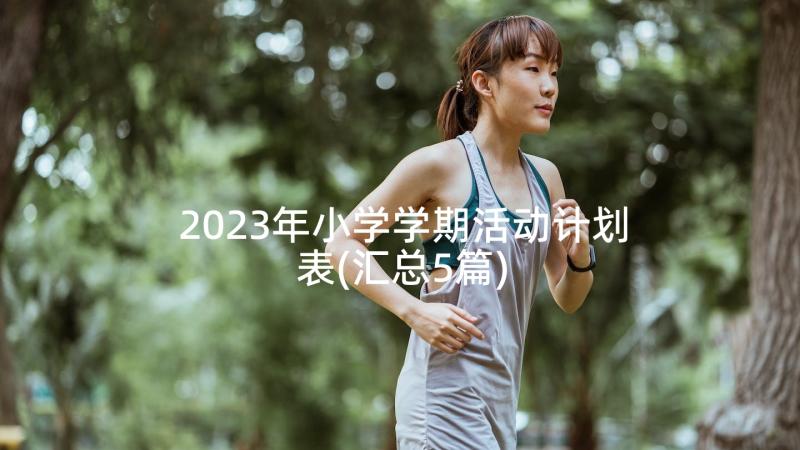 2023年小学学期活动计划表(汇总5篇)