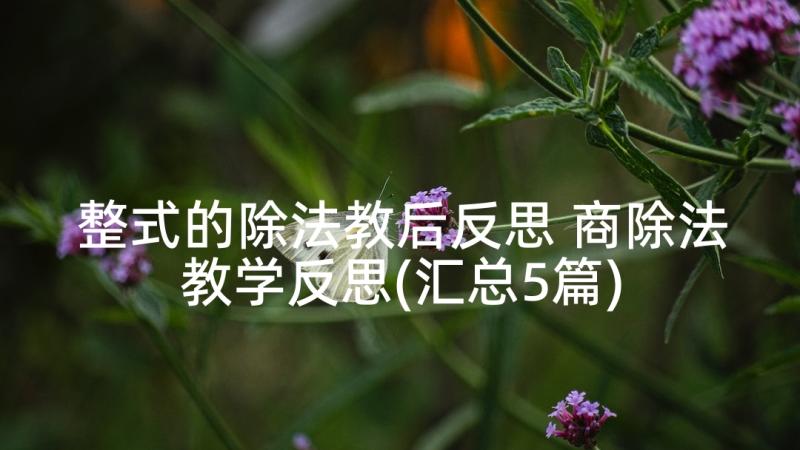 整式的除法教后反思 商除法教学反思(汇总5篇)