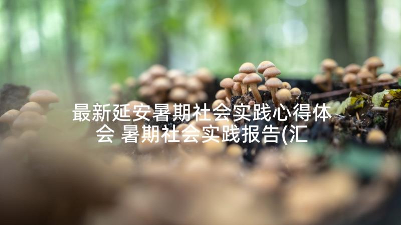 最新延安暑期社会实践心得体会 暑期社会实践报告(汇总8篇)