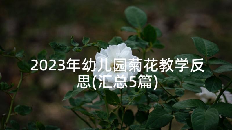 2023年幼儿园菊花教学反思(汇总5篇)