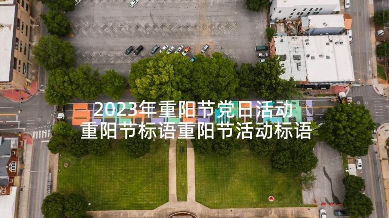 2023年重阳节党日活动 重阳节标语重阳节活动标语(模板9篇)