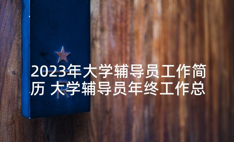 2023年大学辅导员工作简历 大学辅导员年终工作总结报告(优秀5篇)