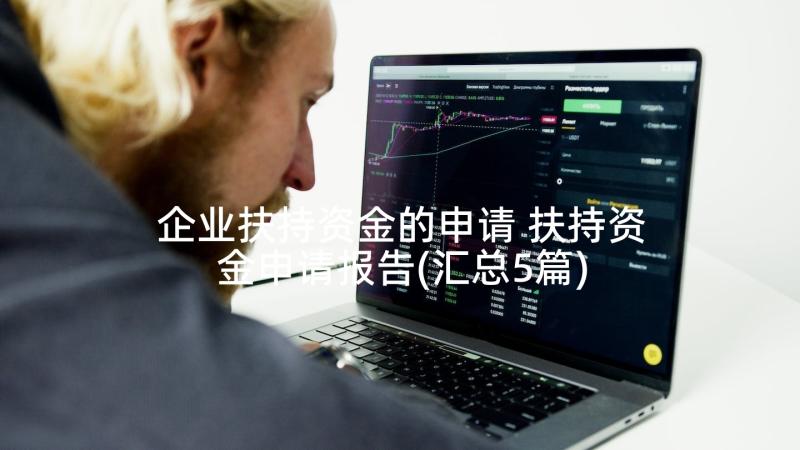 企业扶持资金的申请 扶持资金申请报告(汇总5篇)