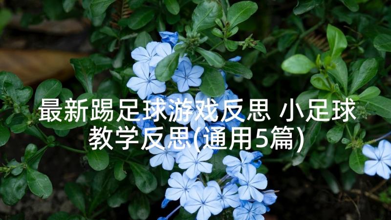 最新踢足球游戏反思 小足球教学反思(通用5篇)