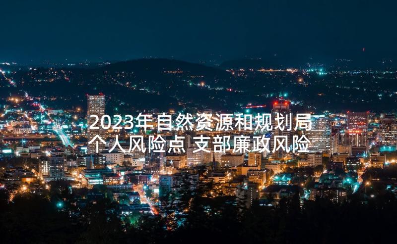 2023年自然资源和规划局个人风险点 支部廉政风险点自查工作报告(优质8篇)