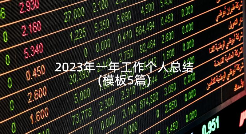 2023年一年工作个人总结(模板5篇)