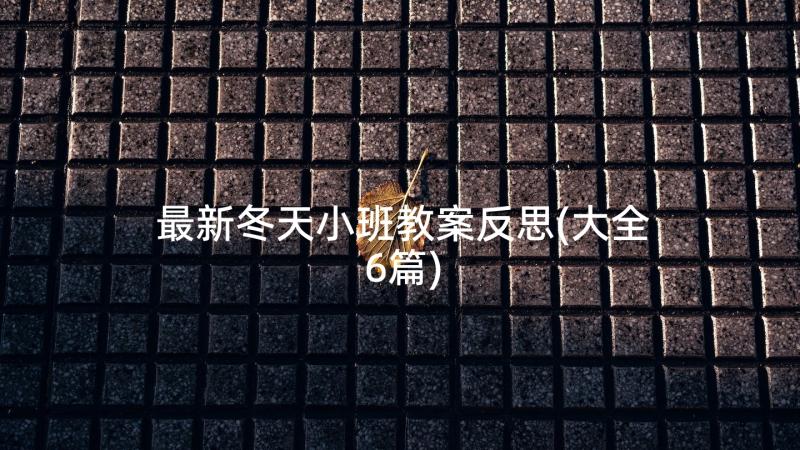 最新冬天小班教案反思(大全6篇)