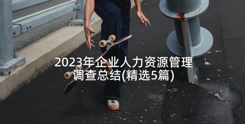 2023年企业人力资源管理调查总结(精选5篇)