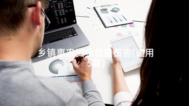 乡镇惠农资金自查报告(通用5篇)