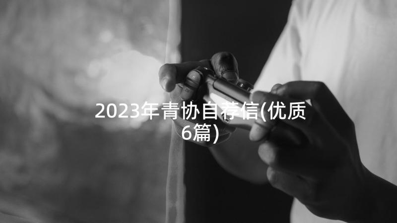 2023年青协自荐信(优质6篇)