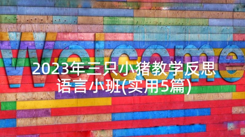 2023年三只小猪教学反思语言小班(实用5篇)