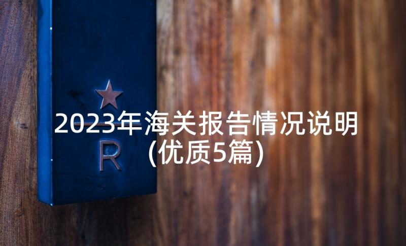 2023年海关报告情况说明(优质5篇)