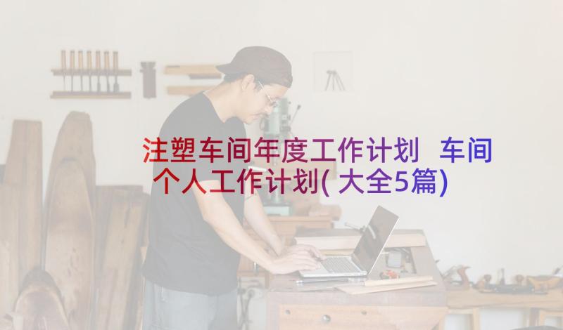 注塑车间年度工作计划 车间个人工作计划(大全5篇)