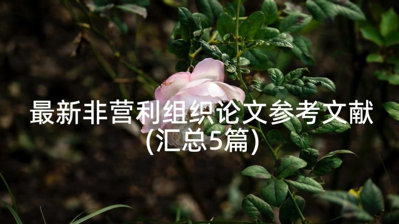 最新非营利组织论文参考文献(汇总5篇)