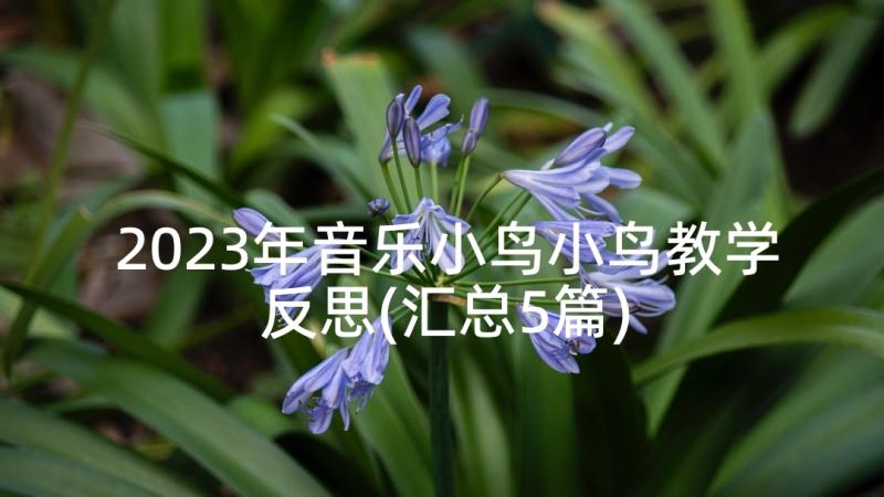 2023年音乐小鸟小鸟教学反思(汇总5篇)