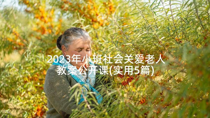 2023年小班社会关爱老人教案公开课(实用5篇)