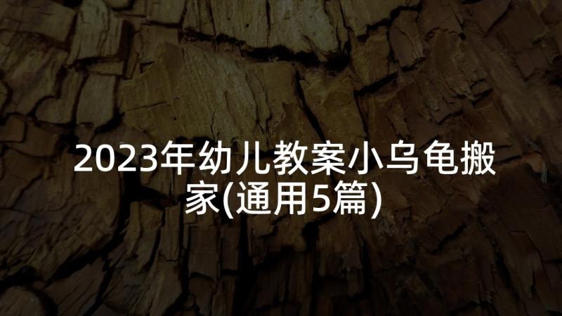 2023年幼儿教案小乌龟搬家(通用5篇)