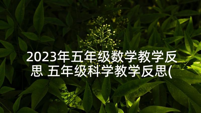 2023年五年级数学教学反思 五年级科学教学反思(实用6篇)