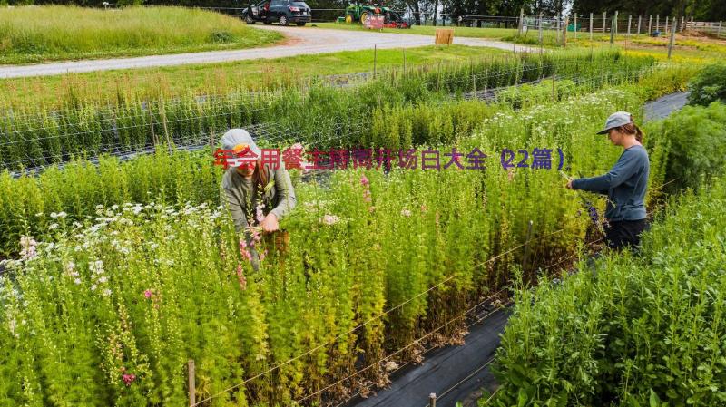 年会用餐主持词开场白大全（22篇）