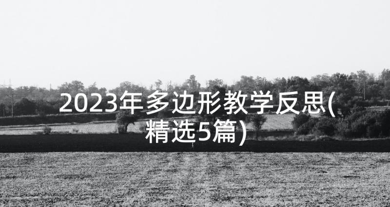 2023年多边形教学反思(精选5篇)